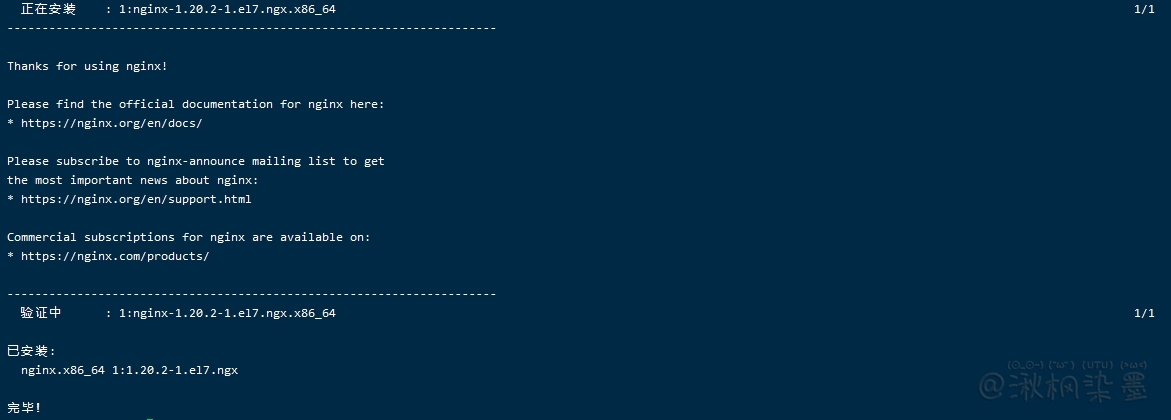 安装Nginx