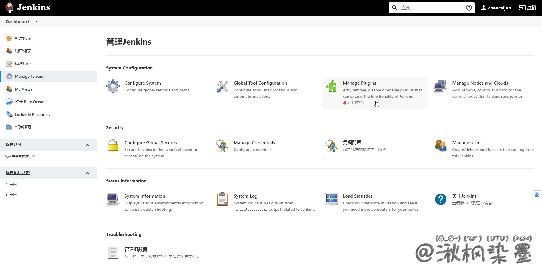 Manager Plugins