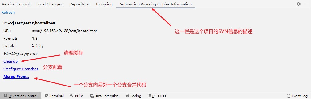 svn信息描述