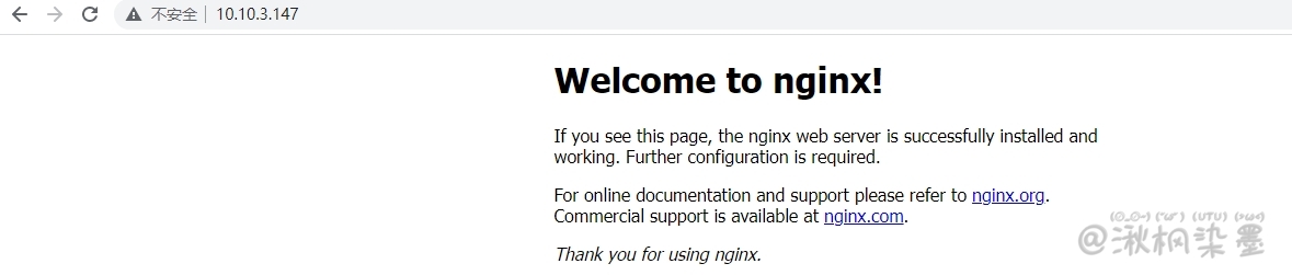 启动Nginx